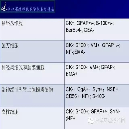 免疫组化结果的分析和常见问题的处理