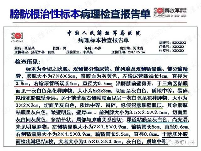 泌尿系统常见肿瘤标本病理报告规范