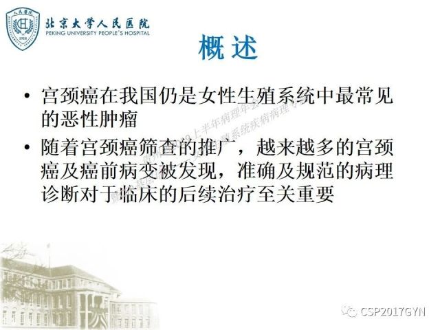 中华病理学会基层培训遵义站讲座（三）——宫颈鳞状上皮病变的病理诊断与鉴别诊断