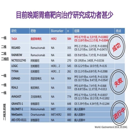 胃癌靶向治疗研究成功者甚少
