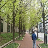 2012-04-01