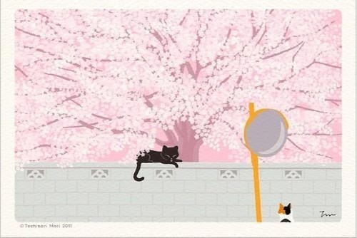 行走在春夏秋冬的四季里