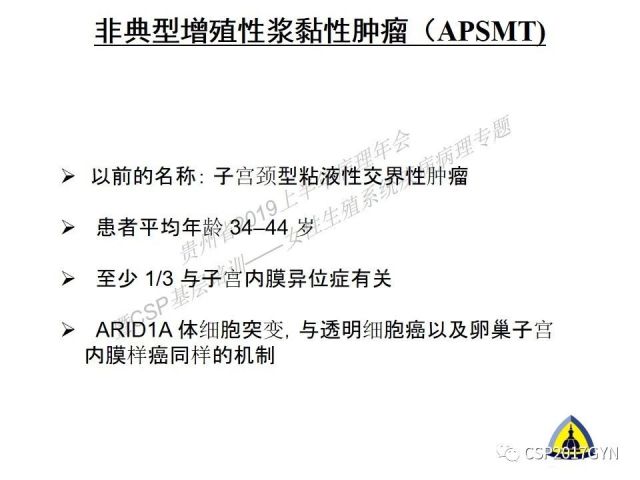 中华病理学会基层培训遵义站讲座（一）——卵巢和输卵管浆液性肿瘤的诊断和鉴别诊断