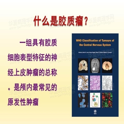 华夏病理网“在线课堂”学习有感