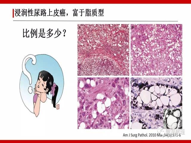 640x480.jpg
