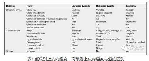胃粘膜病理诊断常规