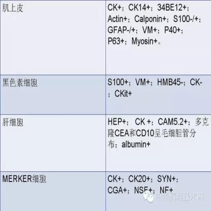 免疫组化结果的分析和常见问题的处理