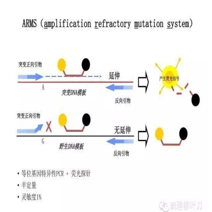 肿瘤精确医疗与分子病理检测