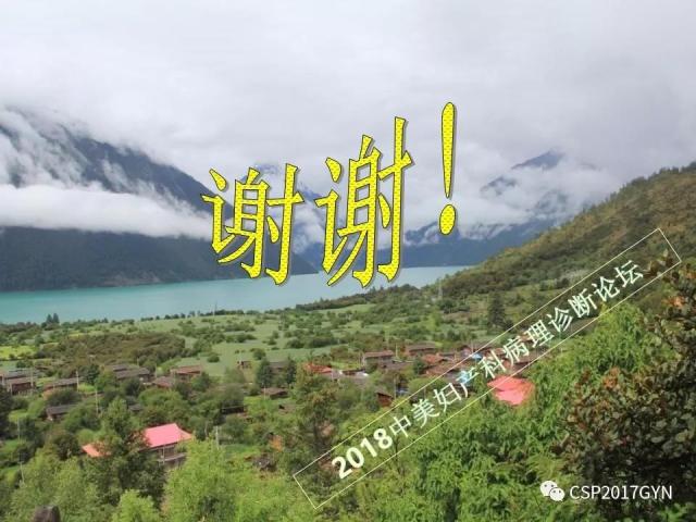 卵巢畸胎瘤诊断难点