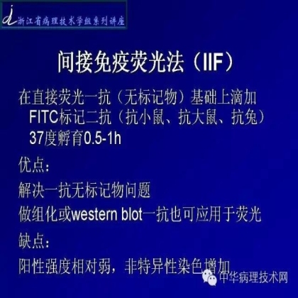 探讨免疫组织学在肾穿标本中的应用