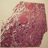 2012-04-23