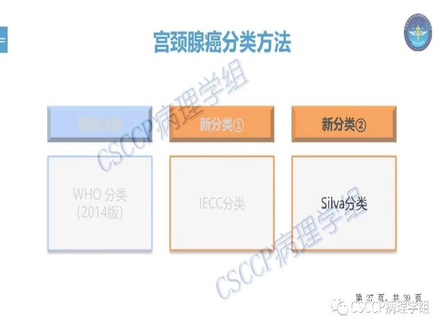 黄文亭 张询：宫颈腺癌分类介绍