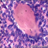 2012-06-06
