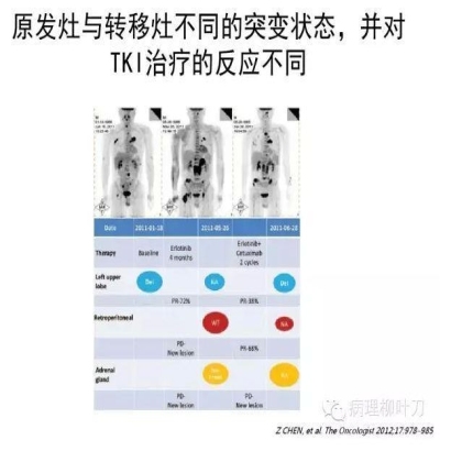 肿瘤精确医疗与分子病理检测