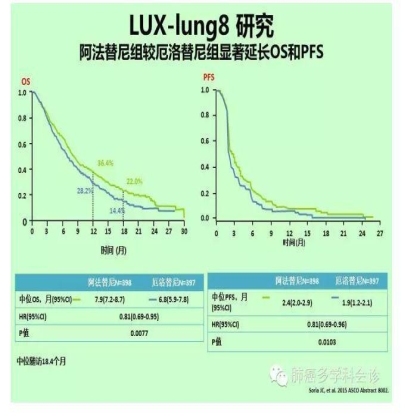 2015晚期肺鳞癌治疗热点回顾