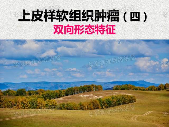 看图说话－－－巜具有上皮样特征的软组织肿瘤诊断与鉴别诊断》课件笔记摘录