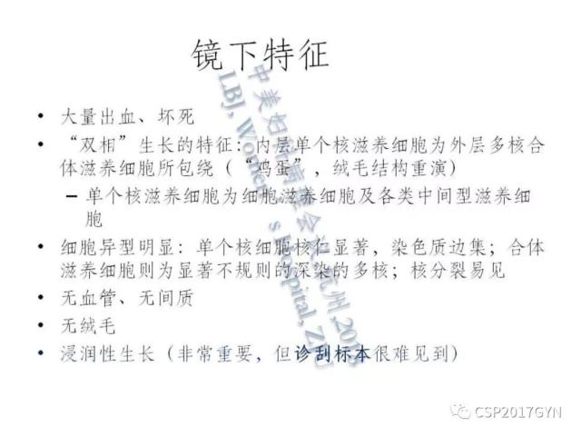 妊娠滋养细胞肿瘤的临床病理学进展
