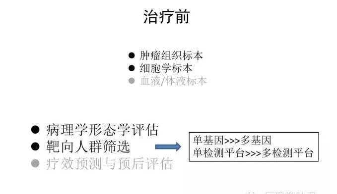 肿瘤精确医疗与分子病理检测