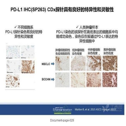精准医学浪潮中肺癌分子病理基因检测研究新进展