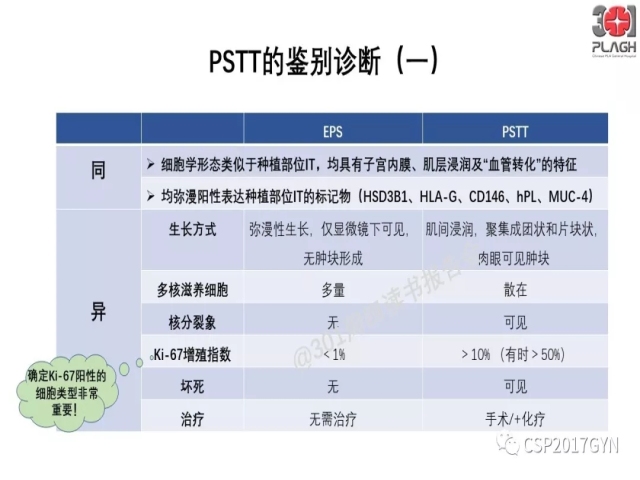 中间型滋养细胞肿瘤的诊断及鉴别诊断