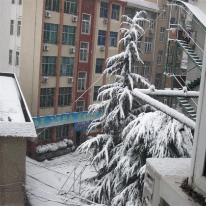 每年的第一场雪