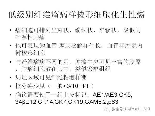 乳腺梭形细胞病变的病理诊断及进展（二）