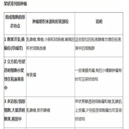 肿瘤病理学分类大全