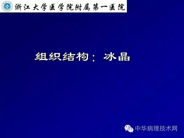 影响冰冻切片质量的原因（比赛注意事项）