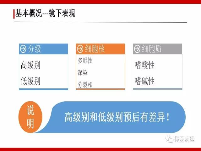 泌尿课程/浸润性尿路上皮癌病理学类型
