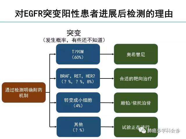 晚期非小细胞肺癌病理报告各有千秋