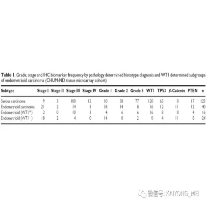 卵巢癌的病理诊断新进展（二）