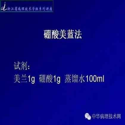 特殊染色 - HP染色
