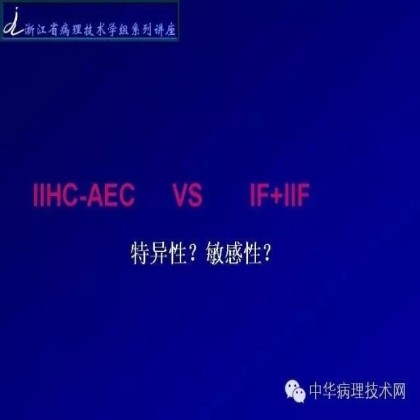 探讨免疫组织学在肾穿标本中的应用