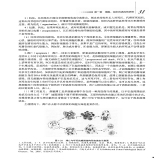 默认相册
