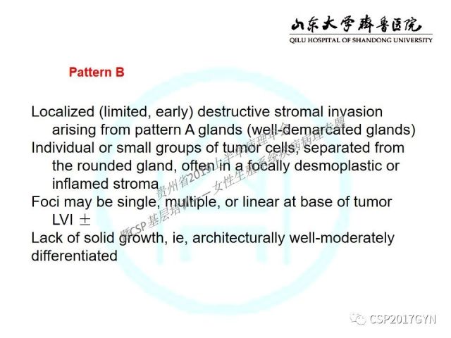 中华病理学会基层培训遵义站讲座（四）——宫颈腺癌的诊断及新分型