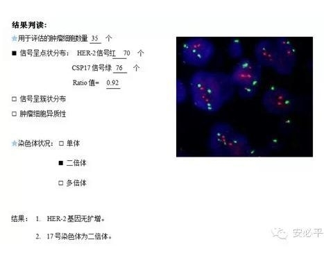 乳腺癌HER2 FISH检测——靶向用药的金标准(三) HER2 FISH检测报告及结果解释