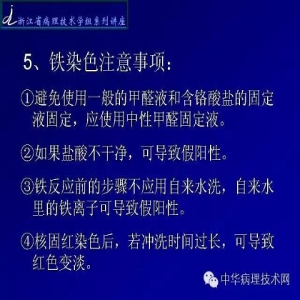 特殊染色——含铁血黄素染色