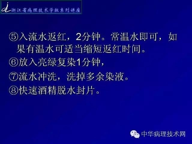 特殊染色-抗酸染色