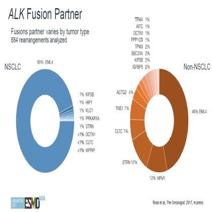 Genomic profiling of 114,200 advanced cancers identifies recurrent kinase domain duplications (KDD)