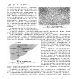 默认相册