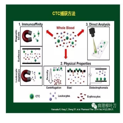 肿瘤精确医疗与分子病理检测