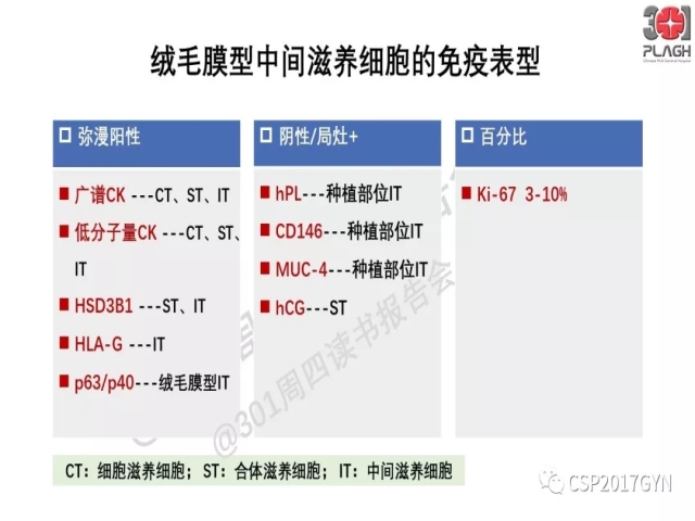 中间型滋养细胞肿瘤的诊断及鉴别诊断