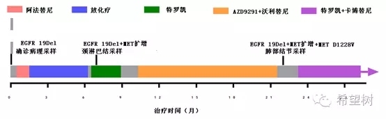 MET基因突变及扩增肺癌