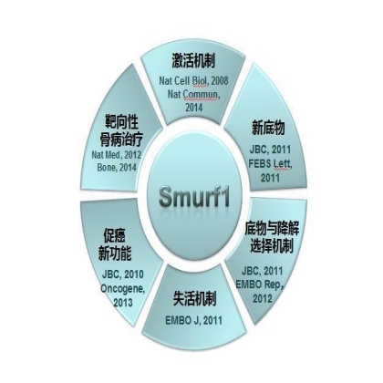 选择优秀的人同行，向卓越的明天进发