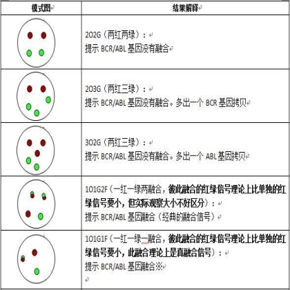 血液肿瘤FISH检测判读建议(一): 基因融合