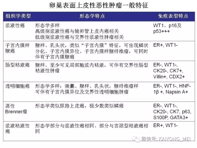 卵巢癌的病理诊断新进展（一）