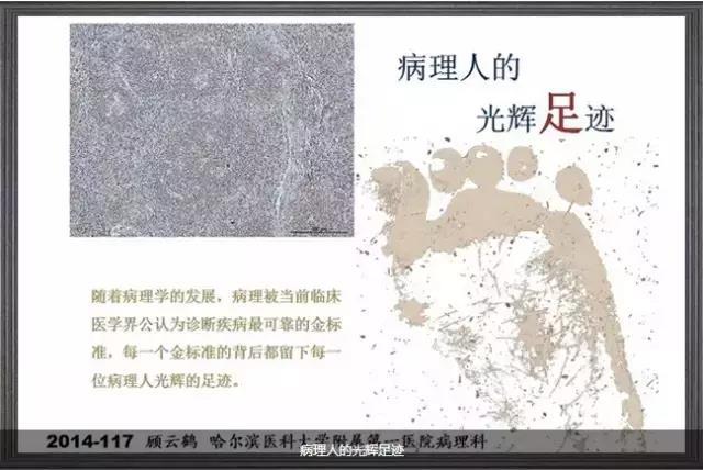 你见过这么美的病理切片吗？
