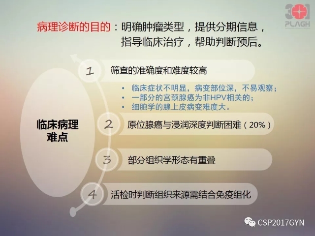 宫颈腺癌的临床病理研究进展
