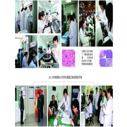 薪火传承，砥砺奋进-热烈祝贺西京医院病理科成立60周年