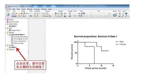 手把手教你用GraphPad Prism绘制生存曲线